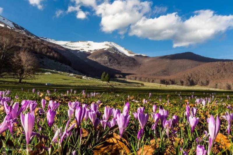 Pic-nic a Prati di Mezzi